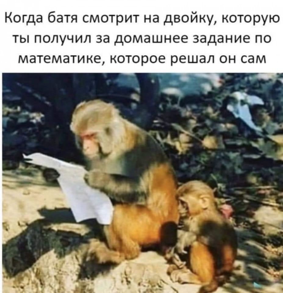 Когда батя смотрит на двойку которую ты получил за домашнее задание по математике которое решал он сам