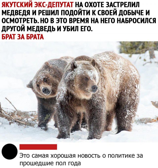 ЧБ пСКьМ ЭКС МЕДВЕДЯ И РЕШИЛ ПОДОЙТИ К СВОЕЙ дОБЫЧЕ И ОСМОТРЕТЬ НО В ЭТО ВРЕМЯ НА НЕГО НАБРОСИЛСЯ дРУГОИ МЕДВЕДЬ И УБИЛ ЕГО тж зд Это самая хорошая новосгь о политике за прошедшие пол года