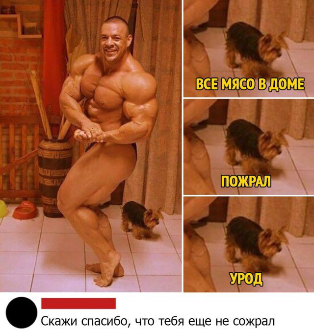 ь всв мясов домв Скажи спасибо что тебя еще не сожрал
