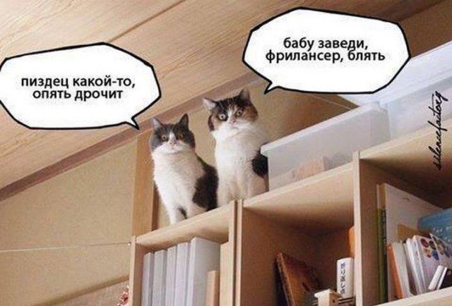 бабу заве и фрилансер пять пиздец какойто опять дрочит