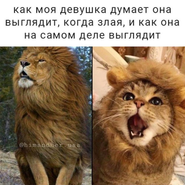 как моя девушка думает она выглядит когда злая и как она на самом деле выглядит