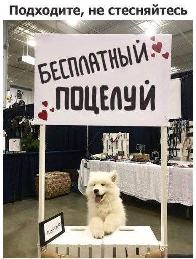 Подходите не стесняйтесь Ц _ вашаъшыи ппцъачи чини __