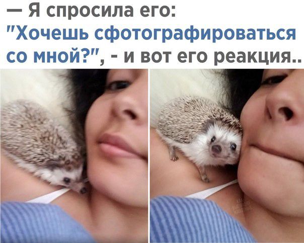Я спросила его Хочешь сфотографироваться со мной и вот его реакция