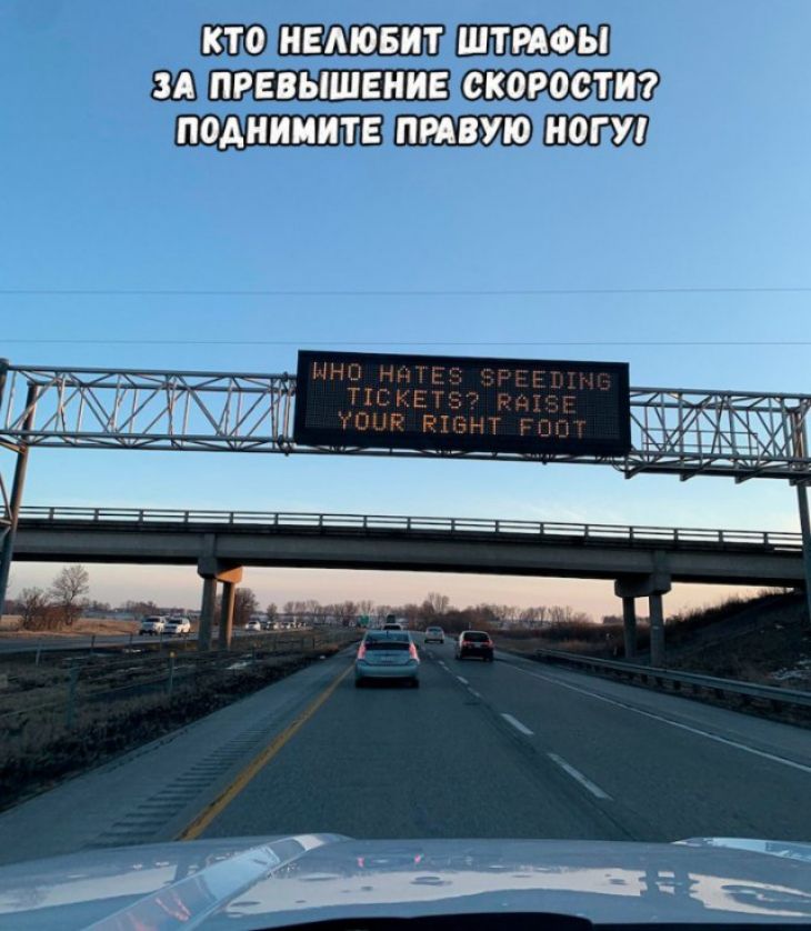 шип м