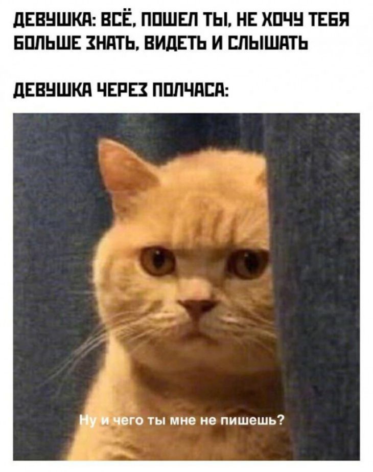 дЕВНШКд ВСЁ ППШЕП ТЫ НЕ ХПЧН ТЕБЯ БПЛЬШЕ ЗНдТЬ ВИДЕТЬ И ЕЛЫШПТЬ дЕВНШКд ЧЕРЕЗ ППЛЧПЕП и чего ты мне не пишешь