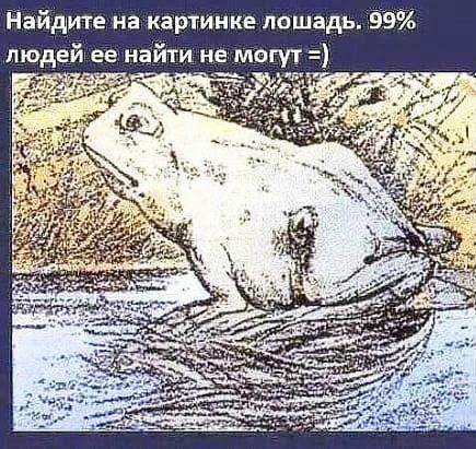 Найдите на картинке лошадь 99 людей ее найти не могут
