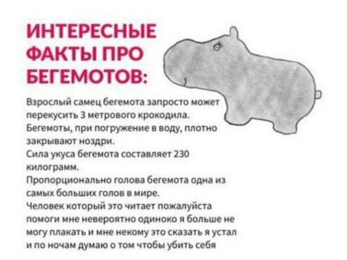 ышнйищцбчтапшршоит пзисгрощоющшя пшімт Шипунбнжпшпмппзо килограм мжм Бмыпихштвипре Ммммнйтчтпшпуйсп итябмшм тптьпимтутшитпуспп импшииотчпбиубтибя