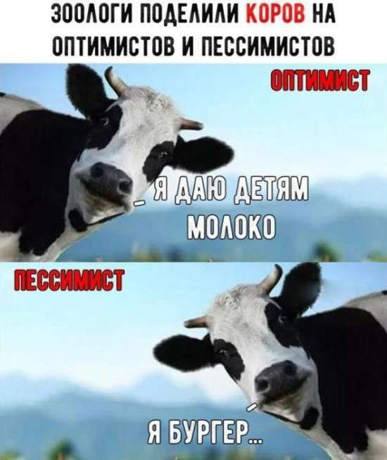 ЗООАОГИ ППАЕАИАИ КОРОВ НА ОПТИМИСТПВ И ПЕССИМИВТОВ _ ЁЗШ