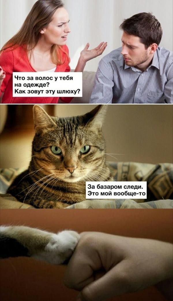 Что за волос у тебя на одежде Как зовут эту шлюху За базаром следи Это мой вообще то