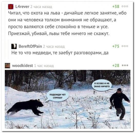 Итог 38 Читал что охота на льва дичайше легкое занятие ибо они на человека толком внимания не обращаюпа прости валяются себе спокойнп в теньке и усе Приезжаймбивайльвы тебе ничего не скажут впосРа п Не та что Медведица заебут разговорами да 75 миша в