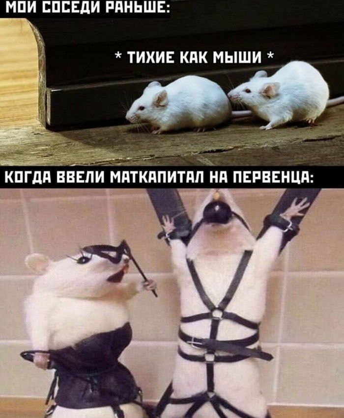 МПИ ЕПЕЕдИ РАНЬШЕ