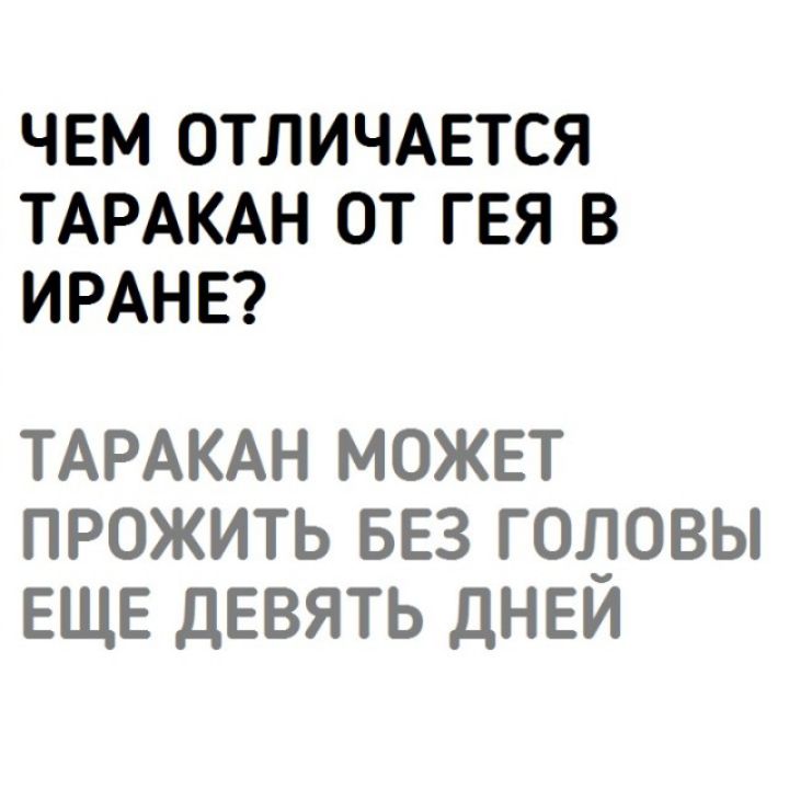 ЧЕМ ОТЛИЧАЕТСЯ ТАРАКАН ОТ ГЕЯ В ИРАНЕ ТАРАКАН МОЖЕТ ПРОЖИТЬ БЕЗ ГОЛОВЫ ЕЩЕ ДЕВЯТЬ ДНЕИ