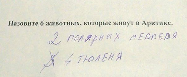 назовите 6 животных которые живут в Арктике 02 поля ттЯ хромая