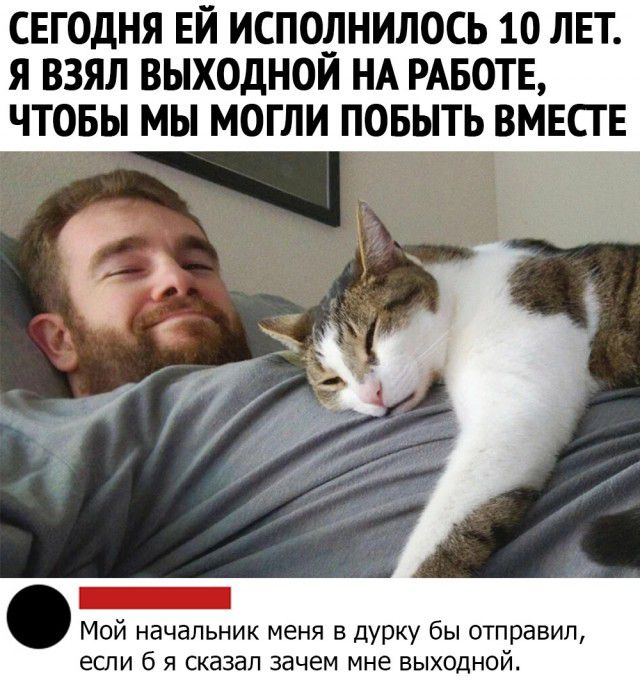 СЕГОДНЯ ЕЙ ИСПОЛНИЛОСЬ 10 ЛЕТ Я ВЗЯЛ ВЫХОДНОИ НА РАБОТЕ ЧТОБЫ МЫ МОГЛИ ПОБЫТЬ ВМЕСГЕ Мой начальник меня в дурку бы отправил если б я сказал зачем мне выходной