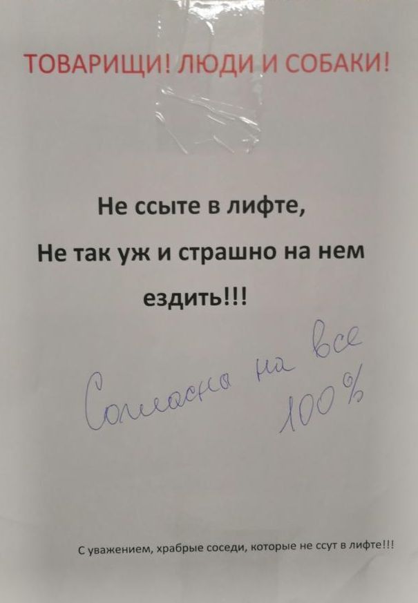 ТОВАРИЩИ ЛЮДИ И СОБАКИ Не ссыте в лифте Не так уж и страшно на нем ездить Ц Ё _ с уважением храбрые соседи которые не ссут лифте