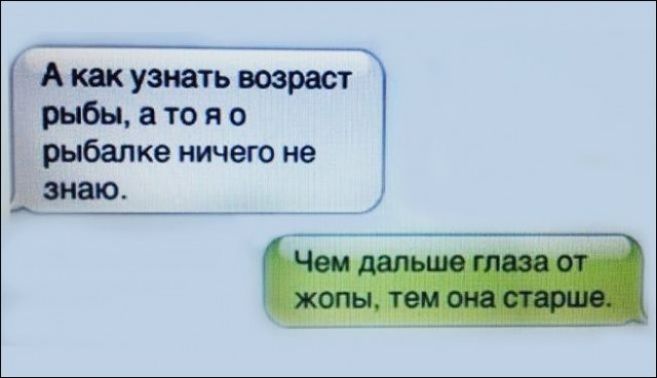 А как узнать возраст рыбы в то я о рЫБалке ничего не знаю