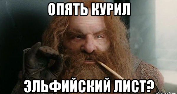 ппнташтип _ ЭЛЬФИИВНИИ ЛИСТ