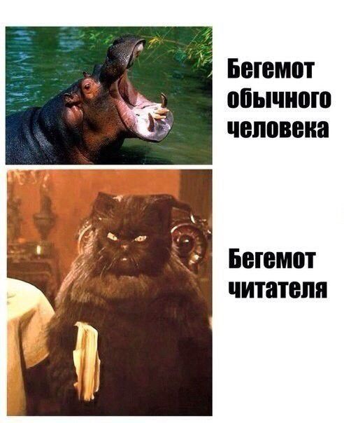 БЕЮМВТ обычного человека БЕШШП читателя