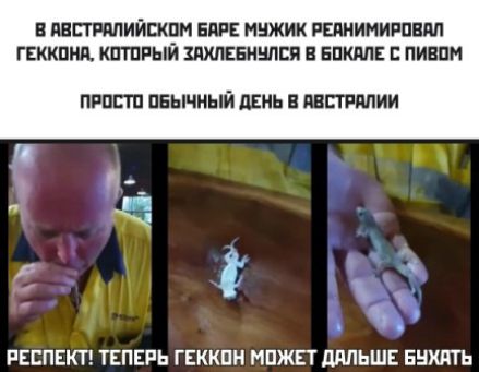 ИЙЩПМ БМ НЦЖИК РЕЛИИНИРПЕМ ГЕККПМЛ КПГПРЫЙ БПКМЕ ПИЕПН ПРППП ПБЫЧНЫЙ ЛЕНЬ Б ПШМИИ ж РЕСПЕКТ ТЕПЕРЬ ГЕККПН МПЖЕТ ШШЬШЕ ЕНИП