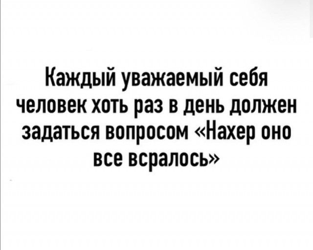 Каждый уважаемый себя человек хоть раз в день должен задаться вопросом Нахер оно все всралось