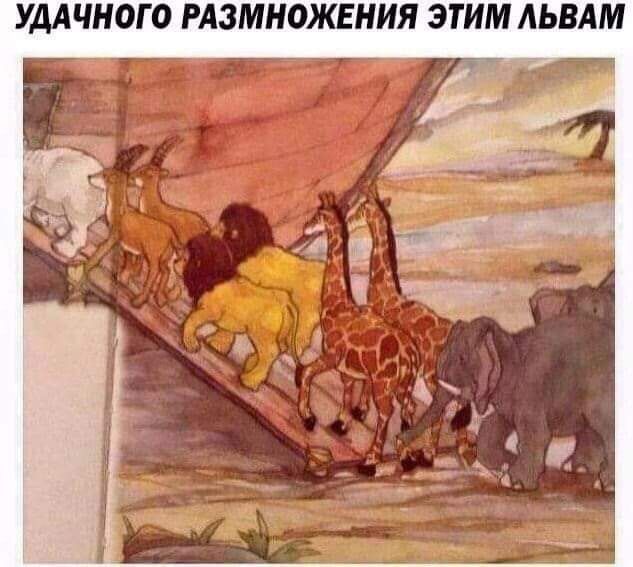 УДАЧНОГО РАЗМНОЖЕНИЯ ЭТИМ АЬВАМ