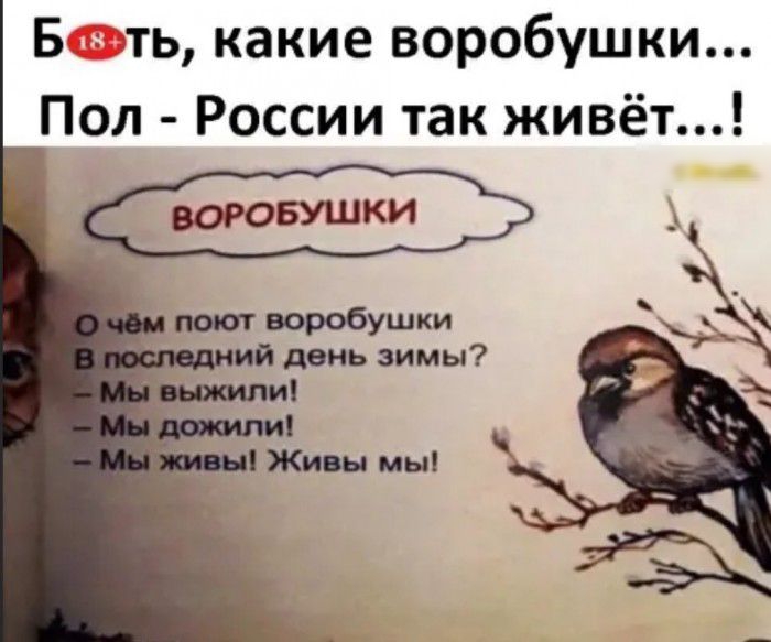 Б ть какие воробушки Пол России так живёт