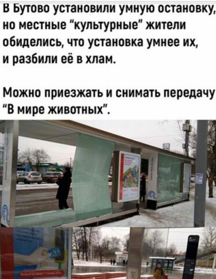 В Бутово установили умную остановку но местные культурные жители обиделись что установка умнее их и разбили её в хлам Можно приезжать и снимать передачу В мире животных