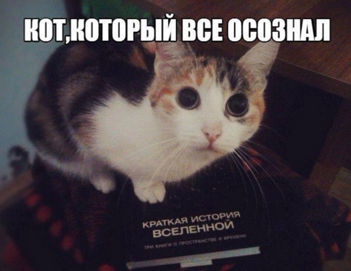 иотмотогый всі ввозили
