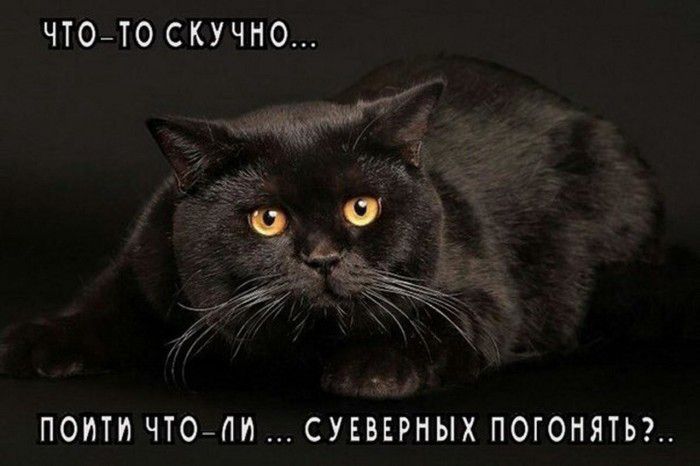 ЧТОТО СКУЧНО и ата о ПОИТИ ЧТОЛИ СУЕВЕРНЫХ ПОГОНЯТЬ