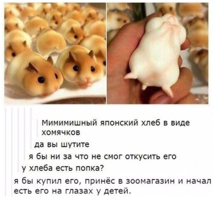 Мимимишный японский хлеб в виде хомячков да вы шутите я бы ни за что не смог откусить его у хлеба есть попка Я бы КУПИЛ ЕГО принёс В ЗООМЭГЭЗИН И НЭЧВЛ есть ЕГО на ГЛЗЗЗХ у детей