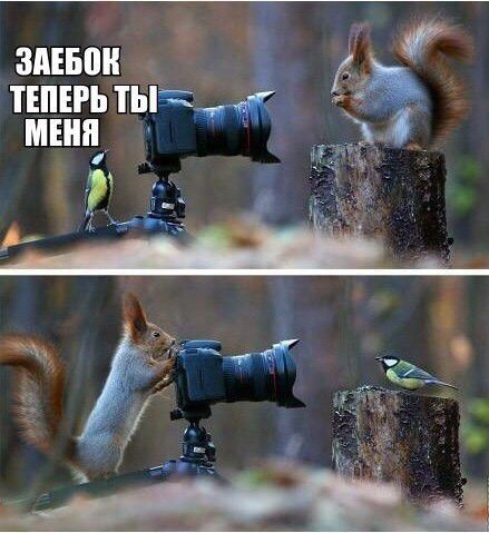 ЗАЕБПН ТЕПЕРЬ тндвк