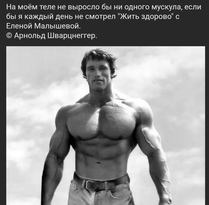 На моём теле не выросло бы ни одного мускула если бы я каждый день не смотрел Жить здорово с Еленой Малышевой Арнольд Шварцнеггер