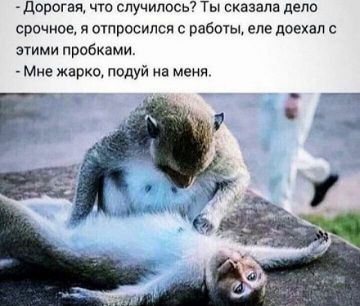 дорогая что случилось Ты сказала дело срочное я отпросился с работы еле доехал с этими пробками Мне жарко подуй на меня