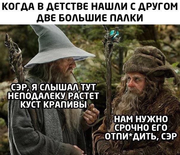 КОГДА В дЕТСТВЕ НАШИ С ДРУГОМ АВЕ БОАЬШИЕ ПААКИ СЭР я сдышдЁдтут нйеподмвку РАСТЕТ куст крдпивы и И св 1 НАМ нужно Ёсрочно его 0ТПИдИТЬ СЭР 1