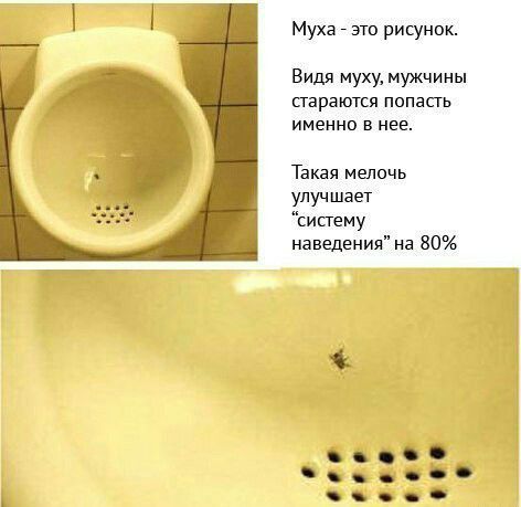 Муха это риьунок Видя муху мужчины стараются попасть именно в нее Такая мелочь улучшает систему наведения на 80