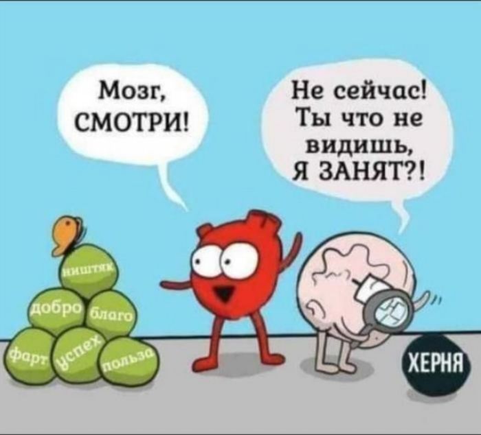 Мозг Не сейчас СМОТРИ Ты что не видишь Я ЗАНЯТ