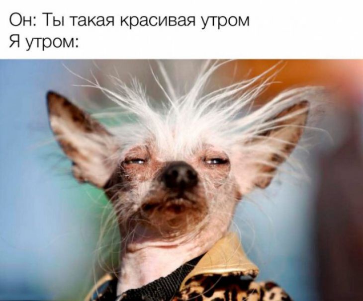 Он Ты такая красивая утром Я утром