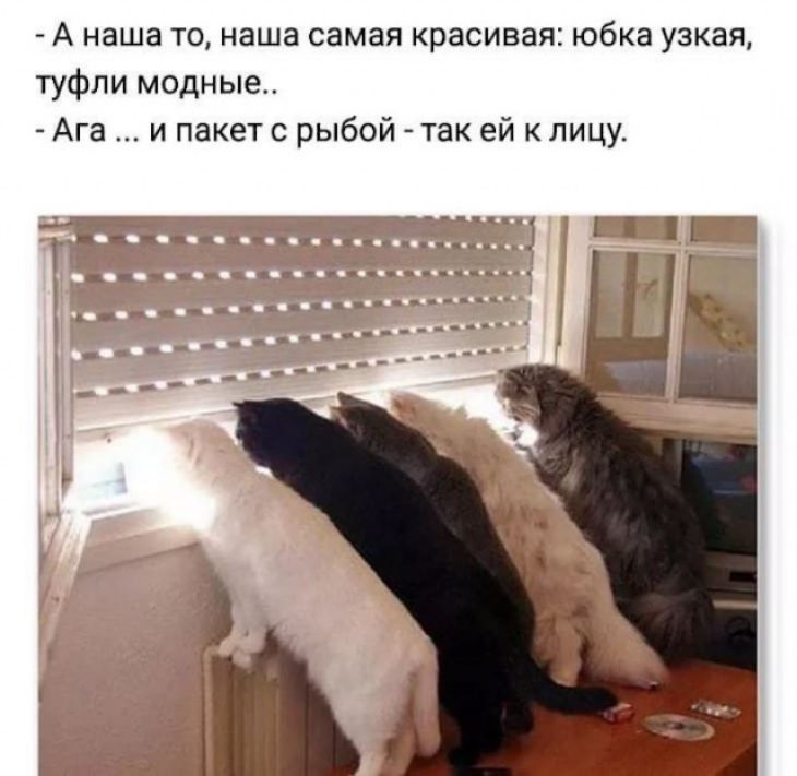 А наша то наша самая красивая юбка узкая туфли модные Ага и пакет с рыбой так ей к лицу ______ датчикачтц