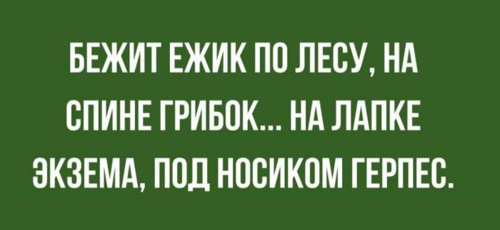 БЕЖИТ ЕЖИК ПП ЛЕСУ НА СПИНЕ ГРИБПК НА ЛАПКЕ ЗКЗЕМА ПОД НОСИКПМ ГЕРПЕС