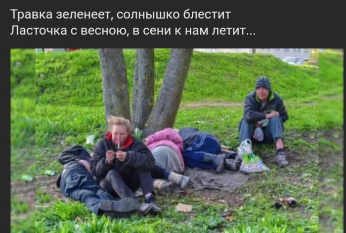 Травка зеленеет СОЛНЫШКО бЛЕСТИТ Ласточка С Весною В сени К нам летит