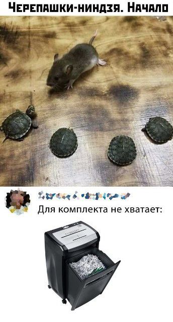 ЧЕЕЕППШКИ НИНДЗЯ НАШИ ае в в пап и гг Для комплекта не хватает