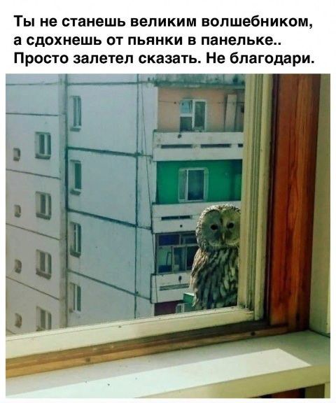 ТЫ не станешь ВЕЛИКИМ волшебником а сдохнешь ОТ ПЬЯНКИ В панельке Просто залетел сказать Не благодари