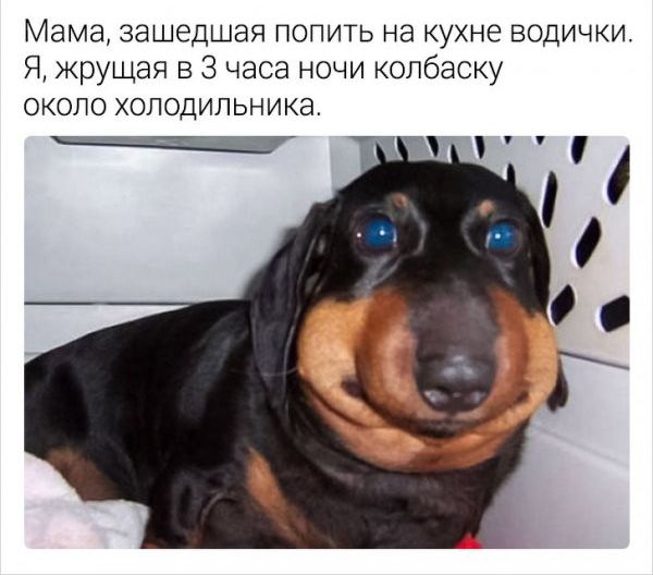 Мама зашедшая попить на кухне водички Я жрущая в 3 часа ночи колбаску около холодильника Ё 1