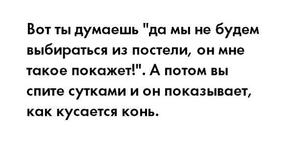 Вот ты думаешь да мы не будем выбираться из постели он мне такое покажет А потом вы спите сутками и он показывает как кусается конь