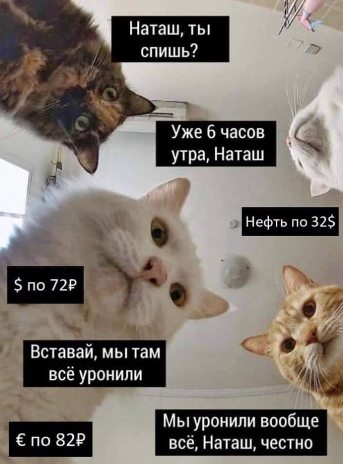 729 ПО О всё уронили Мы уронили вообще по 82 всё Наташ честно
