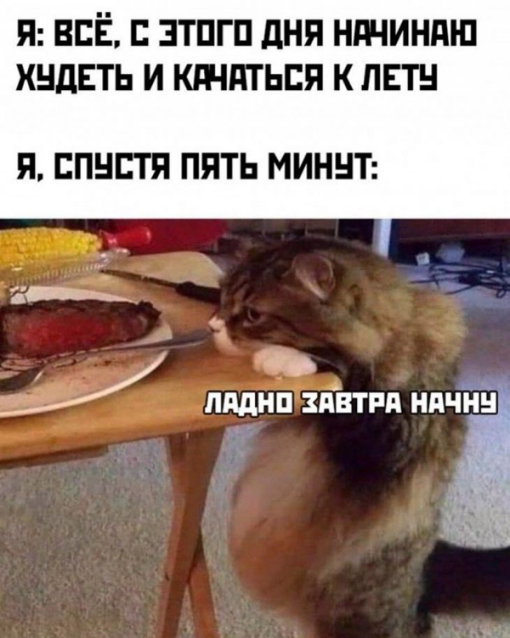 и всЁ зтпгп дня ндчиндш хндвть и ктдтьвя к лвтн Я ЕПНЕТЯ ПЯТЬ МИННТ пдднп здвтпд ндчнн Е Б