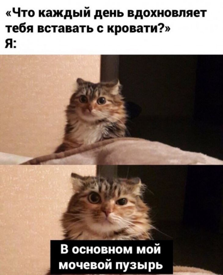 Я уже лежу в кровати