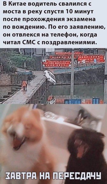 В Китае водитель свалился моста в реку спустя 10 минут ПОСЛЕ ПРОХОЖДЕНИЯ экзамена по вождению По его заявлению он отвлекся на телефон когда читал СМС с поздравлениями 3 щ ЗАВТРП Нд ЁЕЕДПЧН