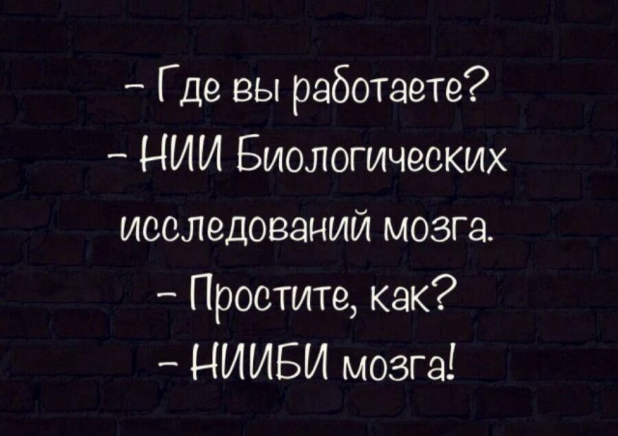 Где вы работаете НИИ Биологических исследований мозга Простите как НИИБИ мозга