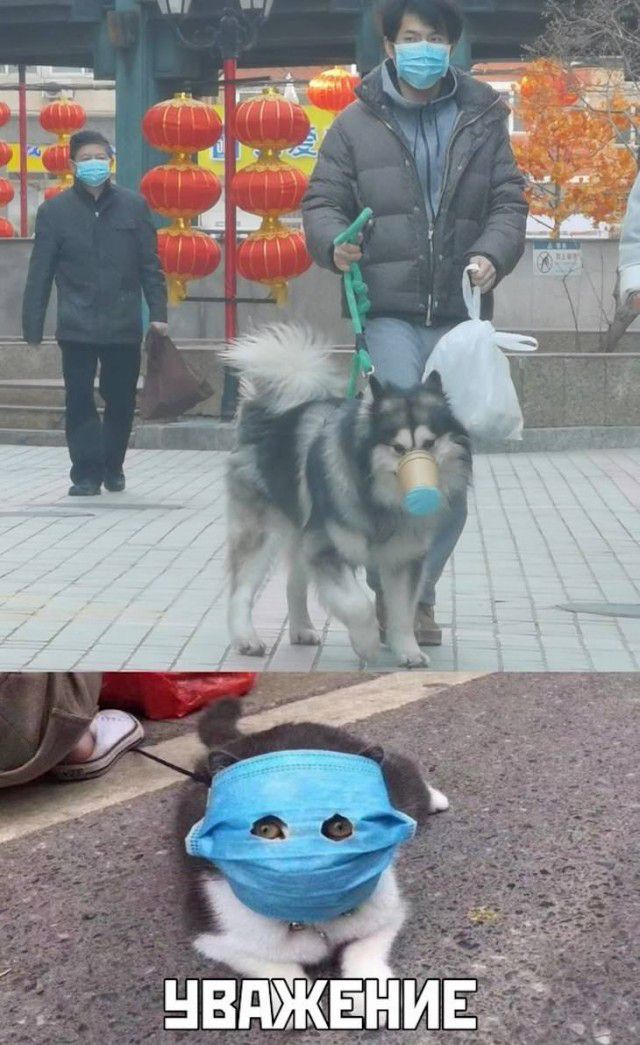 О